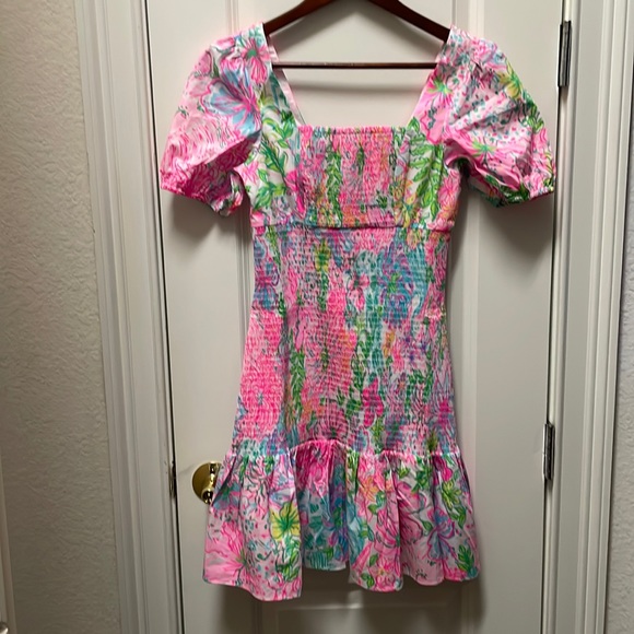 Lilly Pulitzer Evelina Dress - Picture 1 of 4
